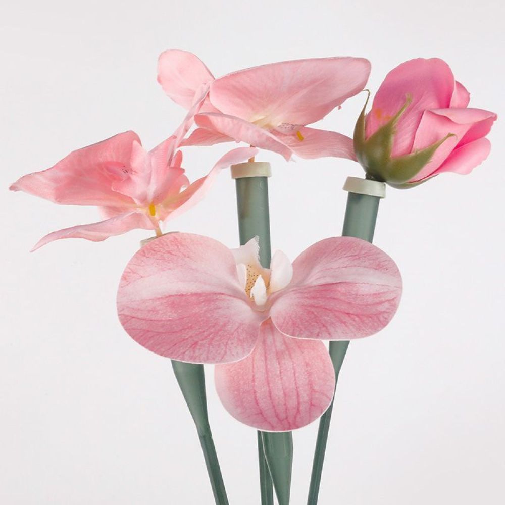 Florist Supply Shop - Floristik-Konservierungsröhrchen Transparente Plastikfläschchen für Frische Schnittblumensträuße